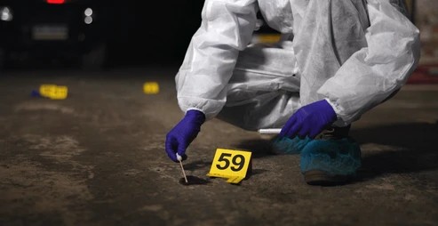 Guest lecture on ''Inside a Crime Scene: Science, Evidence and truth ...