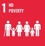 SDG 1 No Poverty