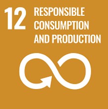 SDG 1 No Poverty