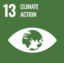 SDG 1 No Poverty