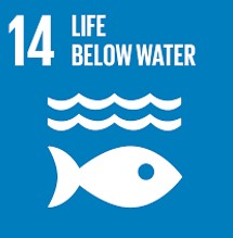 SDG 1 No Poverty
