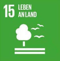 SDG 1 No Poverty