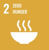 SDG 1 No Poverty