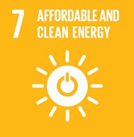 SDG 1 No Poverty