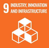 SDG 1 No Poverty
