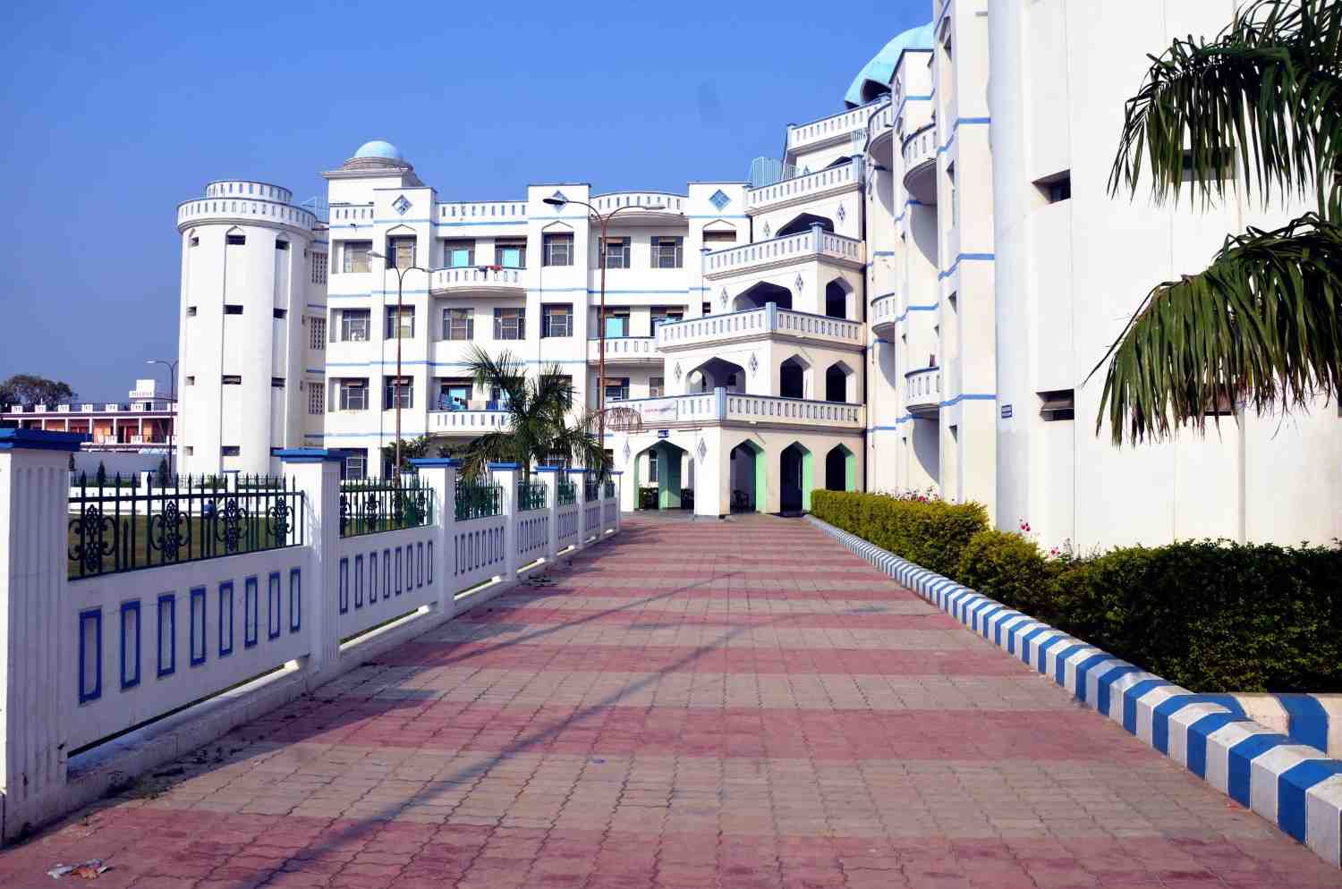 Dual Degree